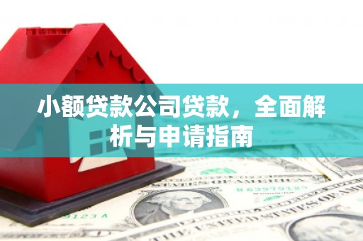 康平小额贷款公司贷款，全面解析与申请指南