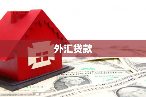 康平外汇贷款