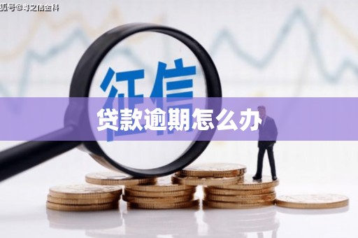 康平贷款逾期怎么办