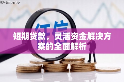 康平短期贷款，灵活资金解决方案的全面解析