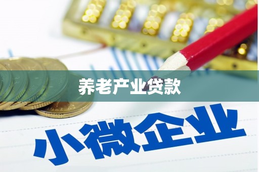 康平养老产业贷款