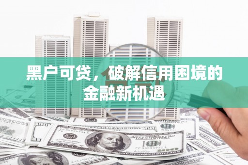 康平黑户可贷，破解信用困境的金融新机遇