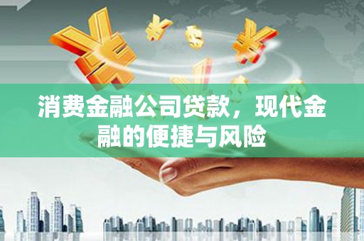 康平消费金融公司贷款，现代金融的便捷与风险