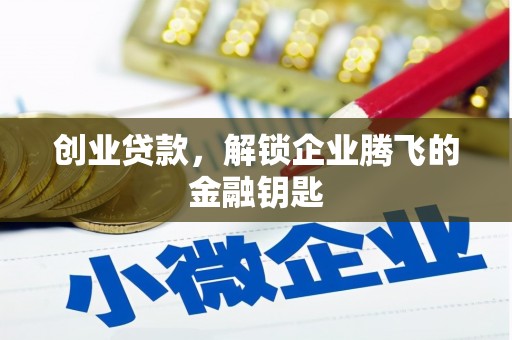 康平创业贷款，解锁企业腾飞的金融钥匙