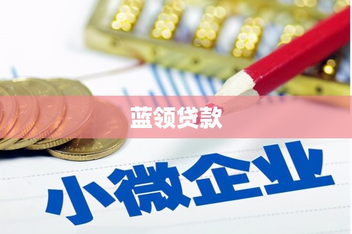 康平蓝领贷款