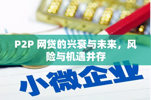 康平P2P 网贷的兴衰与未来，风险与机遇并存