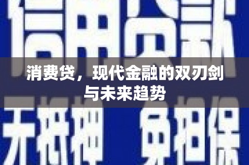 康平消费贷，现代金融的双刃剑与未来趋势