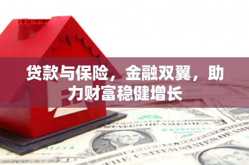 康平贷款与保险，金融双翼，助力财富稳健增长