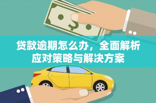 康平贷款逾期怎么办，全面解析应对策略与解决方案